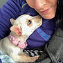 Lottie is registered to the contest to win money with this photo: woman, dog, puppy, close_up, portrait, indoor, pet, collar, blanket, affection, face, cuddle, casual_clothing, black_hair, brown_eyes, small_dog, cute, looking_up, human, animal