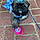 Prissy Juliet