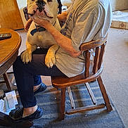 Buster joined the competition — help win amazing prizes! dog, man, chair, indoor, wooden_chair, carpet, casual_clothing, pet, animal, companion, table, phone, documents, floor, human, seated, holding, calm, domestic, home