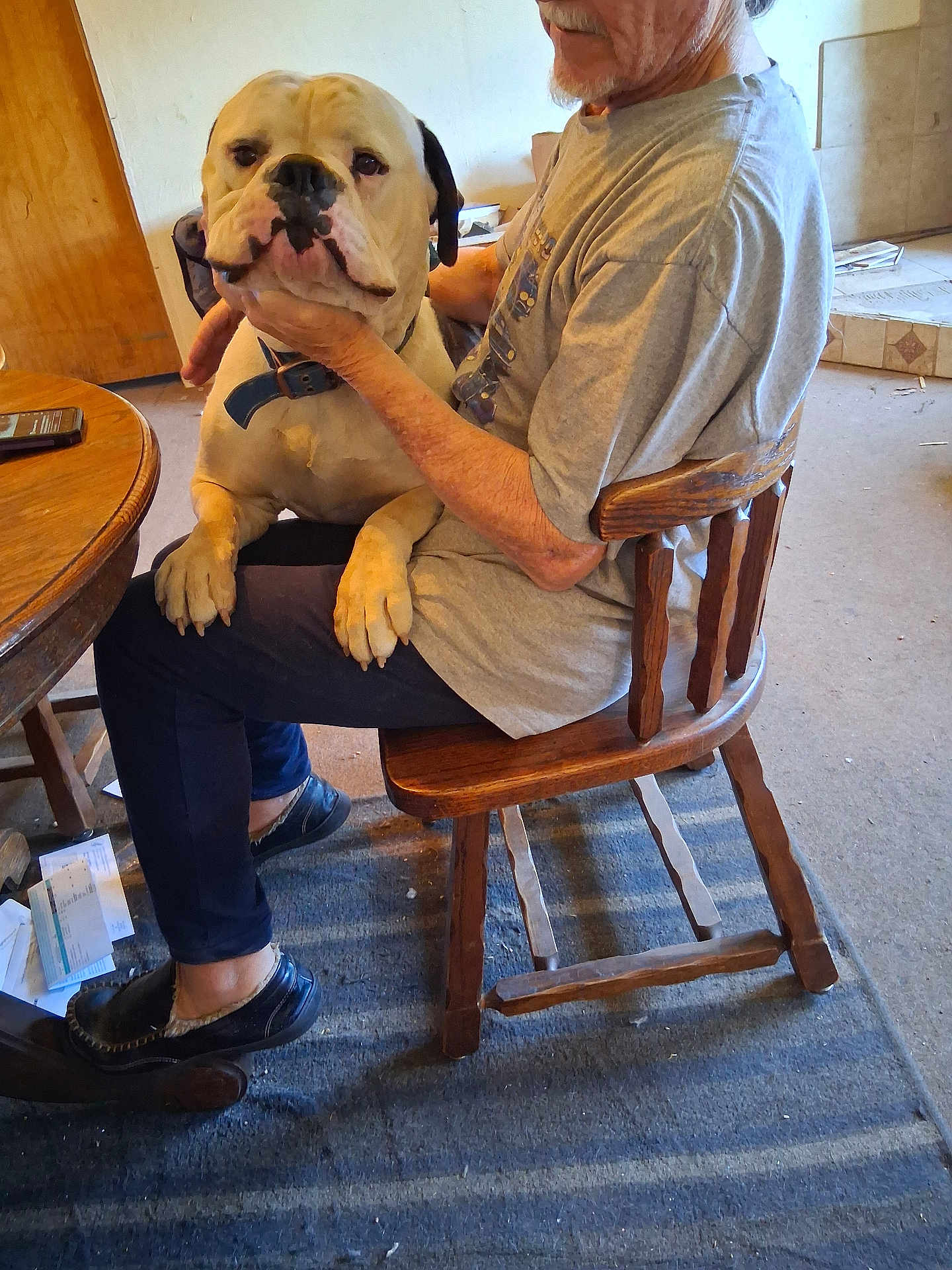 Buster joined the competition — help win amazing prizes! dog, man, chair, indoor, wooden_chair, carpet, casual_clothing, pet, animal, companion, table, phone, documents, floor, human, seated, holding, calm, domestic, home