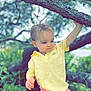 toddler, child, outdoor, tree_branch, yellow_shirt, pink_shorts, nature, greenery, curious, portrait, baby, person, summer, daylight, casual_clothing, young_child, exploring, holding, cute, playful