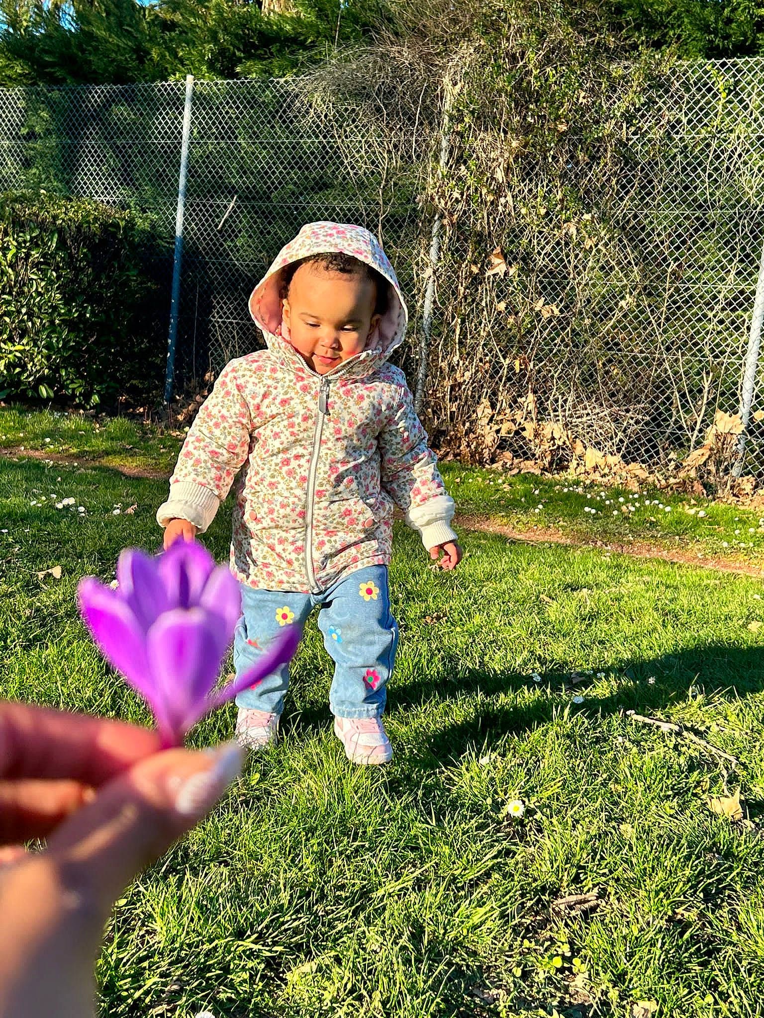 Aaliyah a rejoint le concours — aidez-le/la à gagner de superbes lots ! baby, baby_toddler_clothing, botany, child, electric_blue, fun, grass, grass_family, grassland, groundcover, happy, lawn, leaf, meadow, people_in_nature, person, petal, plant, sunlight, toddler