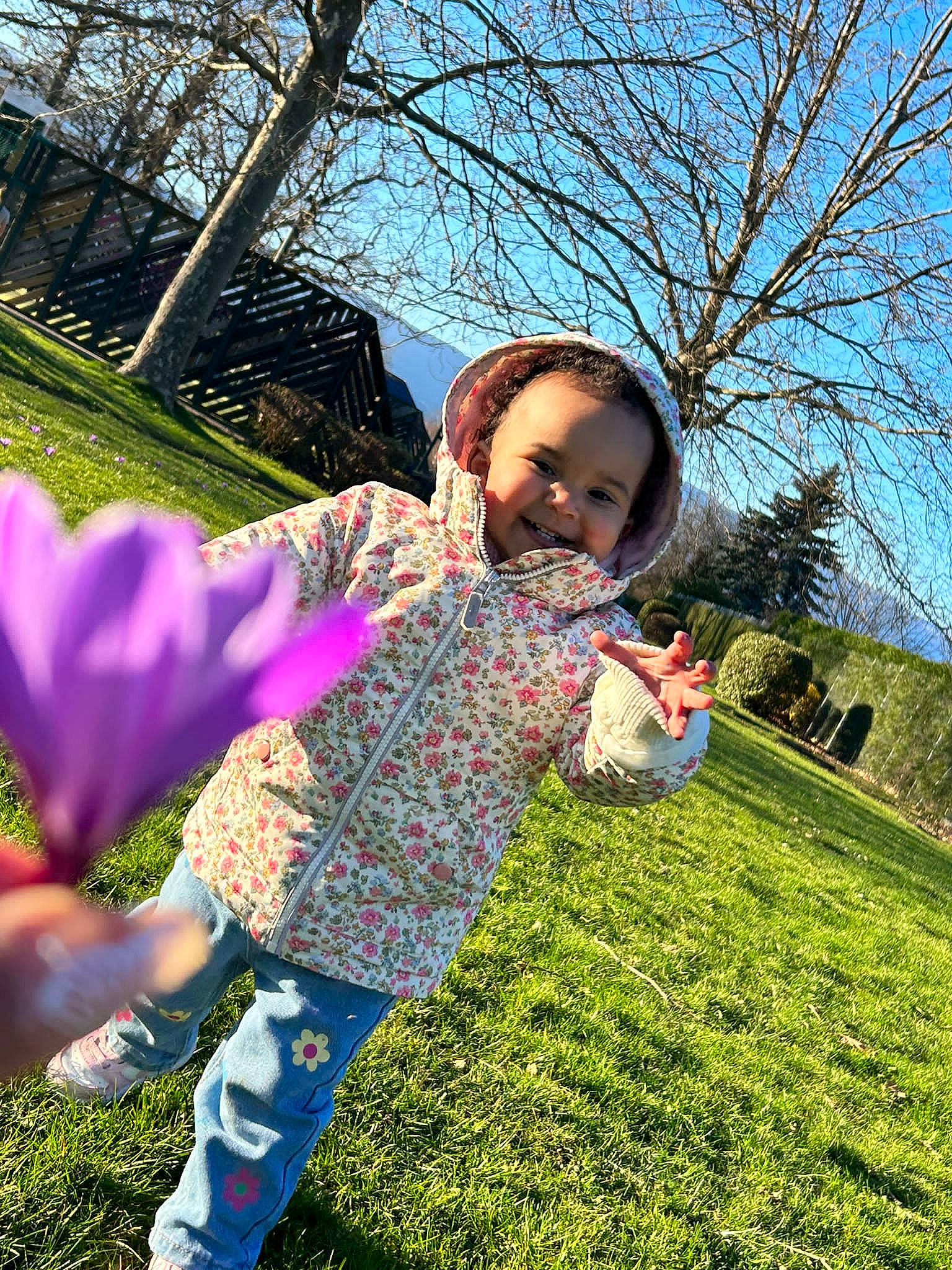 Aaliyah a rejoint le concours — aidez-le/la à gagner de superbes lots ! child, flower, fun, garden, grass, grassland, green, hand, happy, joy, landscape, leisure, magenta, people_in_nature, person, petal, pink, plant, shrub, sky