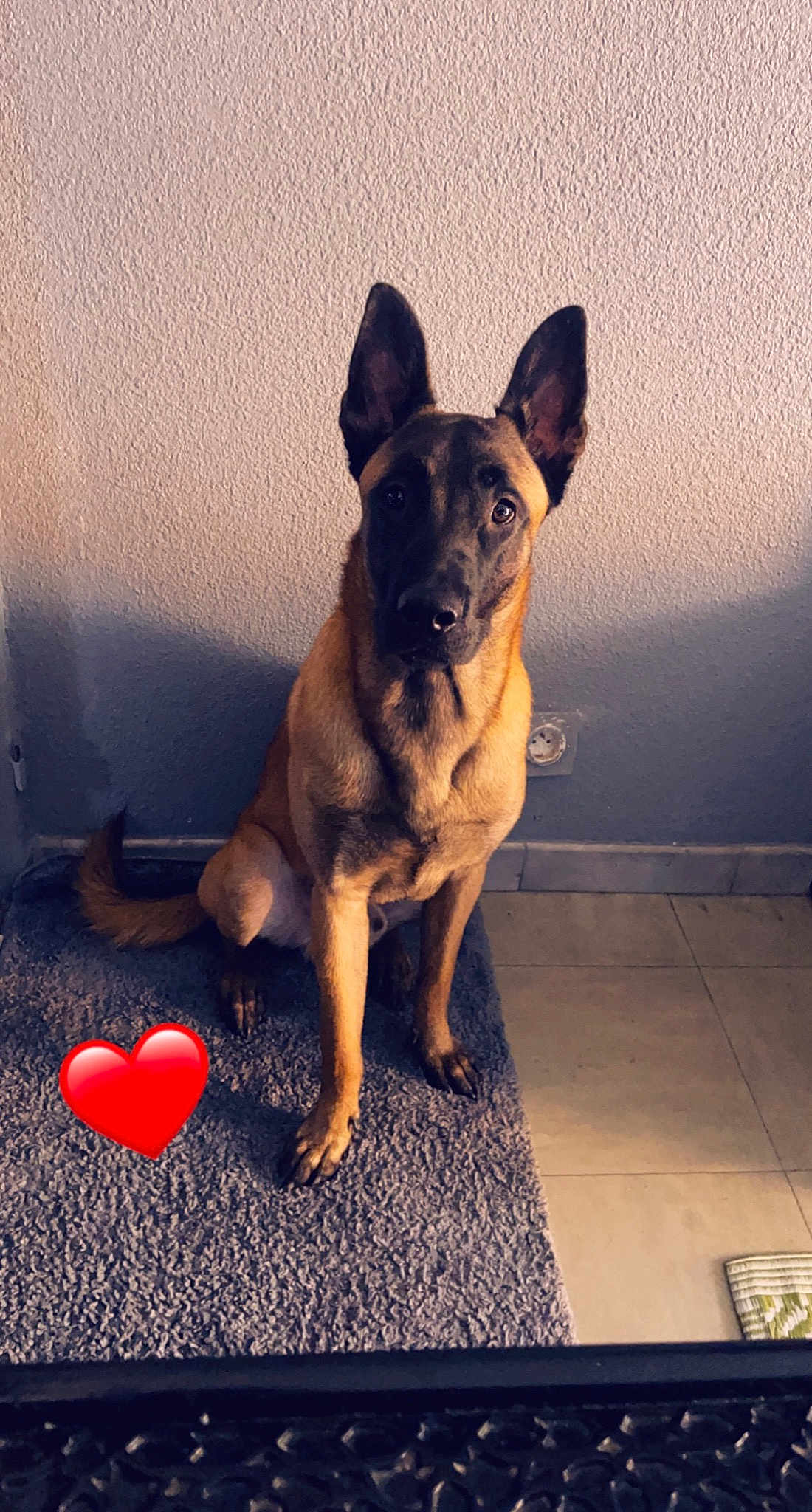 Rambo