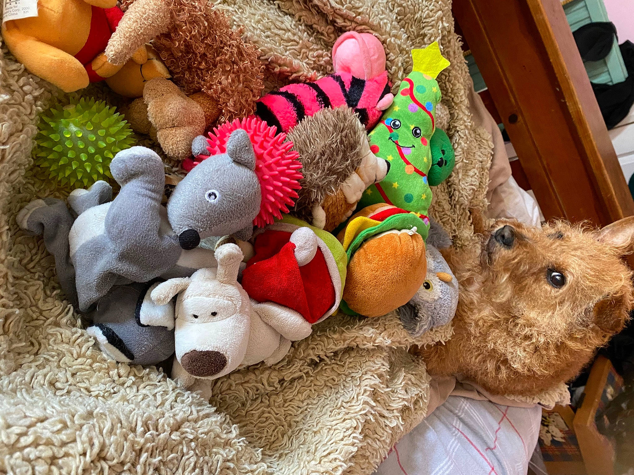 Jude is registered to the contest to win money with this photo: art, baby_toys, collection, dog_toy, event, fawn, fur, hat, ornament, pattern, plush, rabbits_and_hares, room, stuffed_toy, toy, wood, wool, working_animal