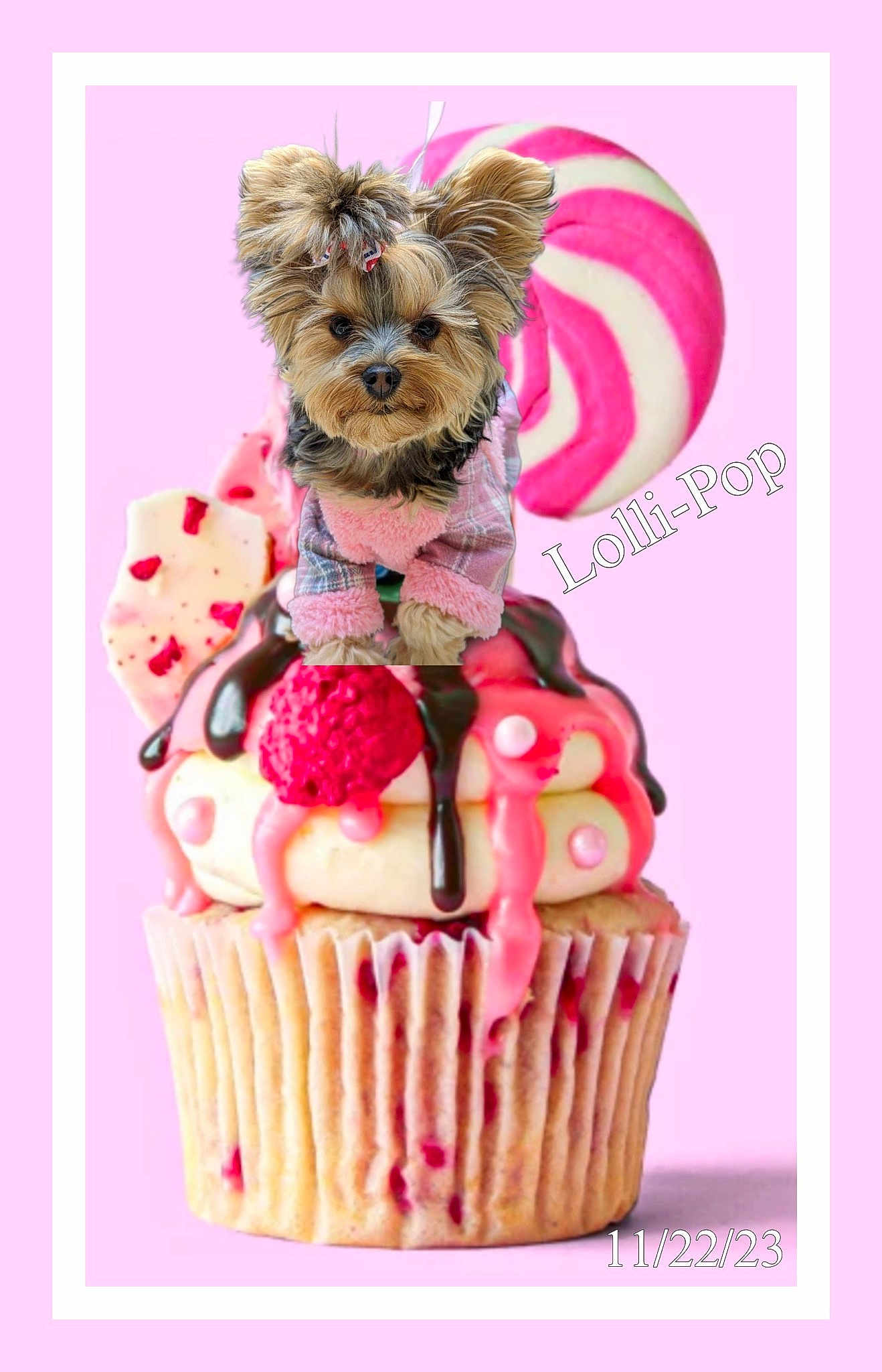 Lolli-pop