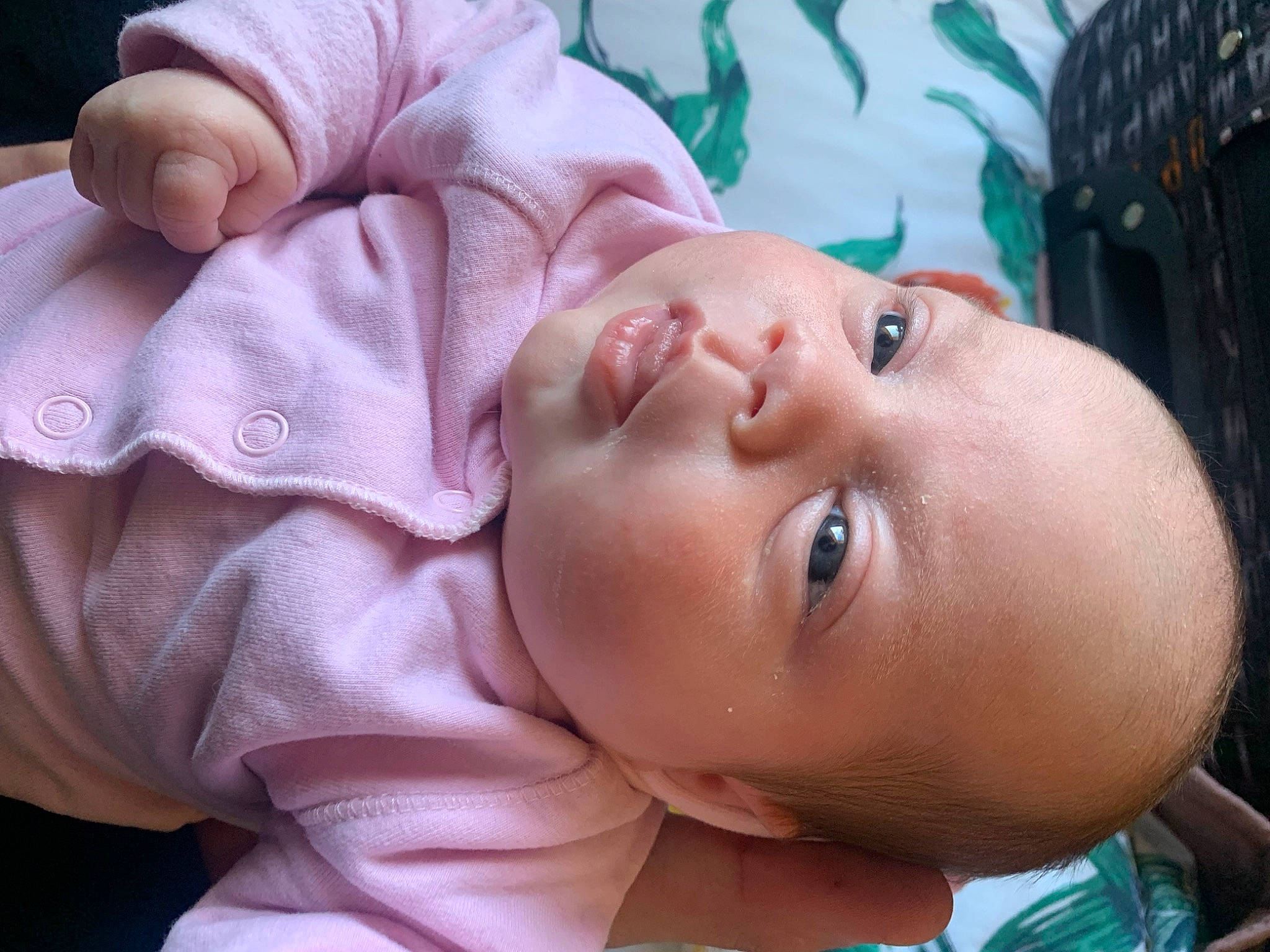 Thya participe au concours pour gagner de l'argent avec cette photo : baby, baby_products, baby_toddler_clothing, cheek, chest, child, eyebrow, eyelash, fun, grass, happy, iris, lip, mammal, mouth, nose, person, portrait_photography, skin, smile