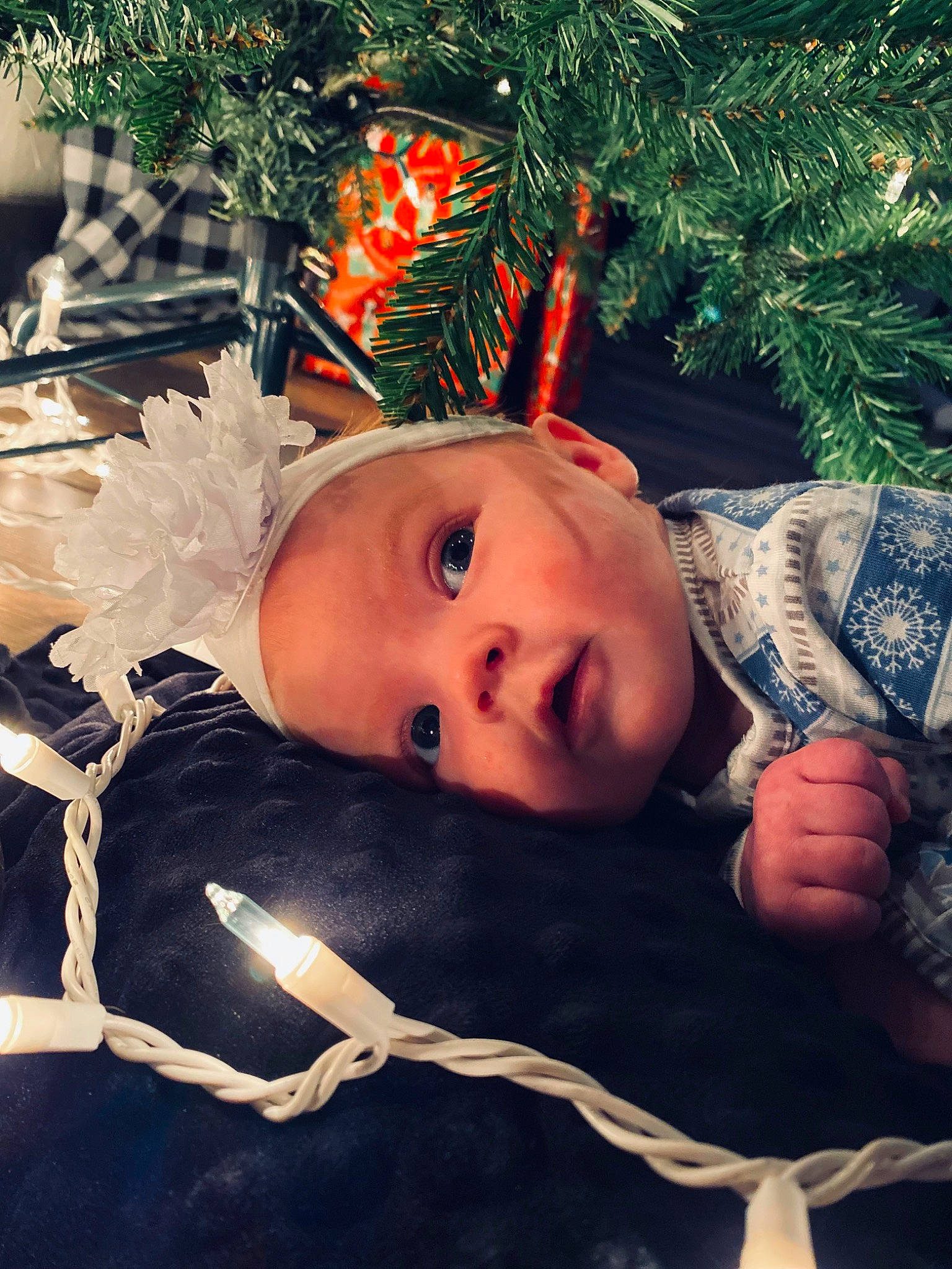 Bryleigh joined the competition — help win amazing prizes! child, christmas, christmas_decoration, christmas_eve, christmas_ornament, christmas_tree, conifer, event, evergreen, grass, happy, head, holiday, holiday_ornament, ornament, people_in_nature, person, plant, smile, toddler