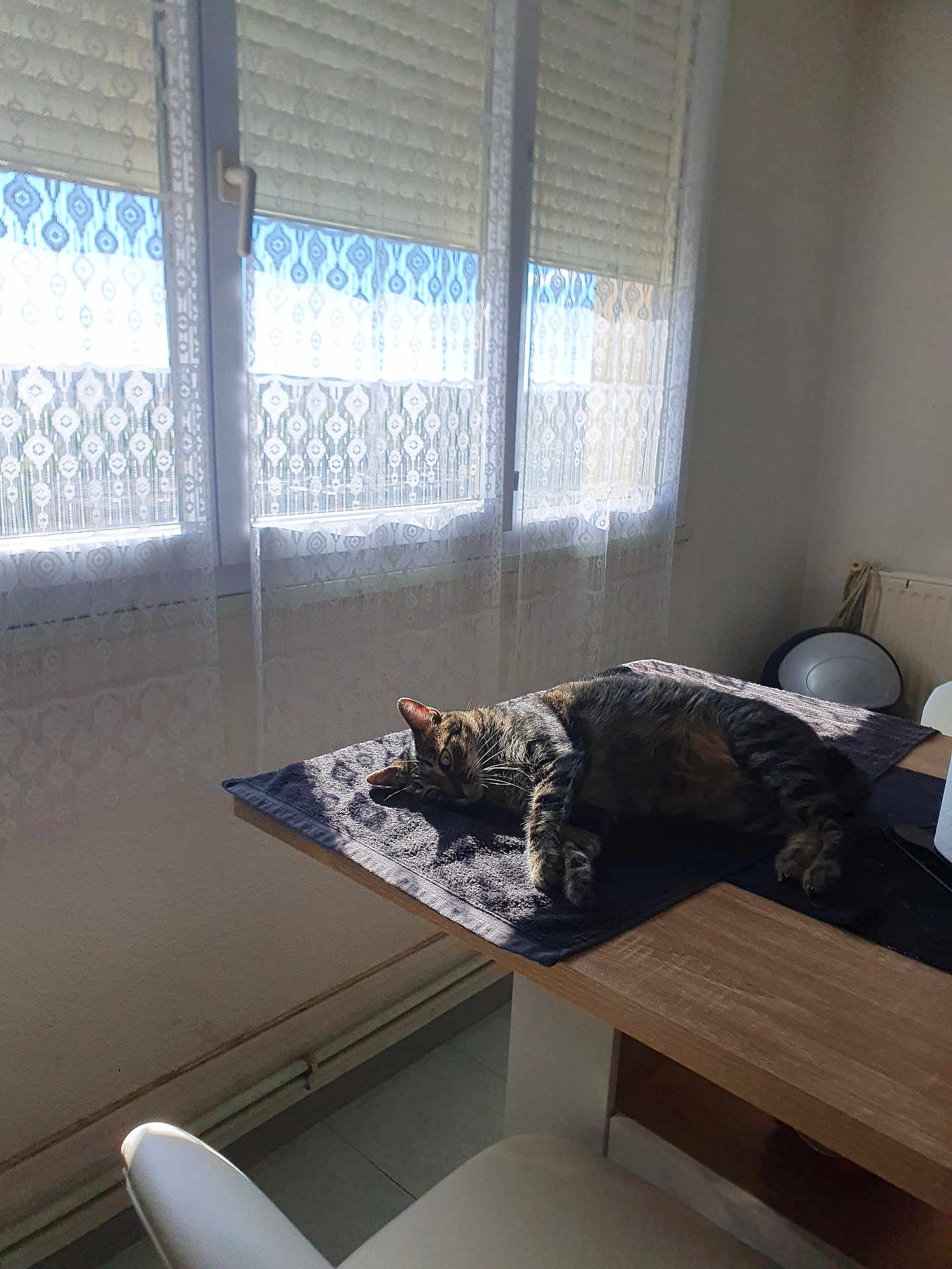 Sunny