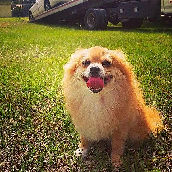 Boosie is registered to the contest to win money with this photo: