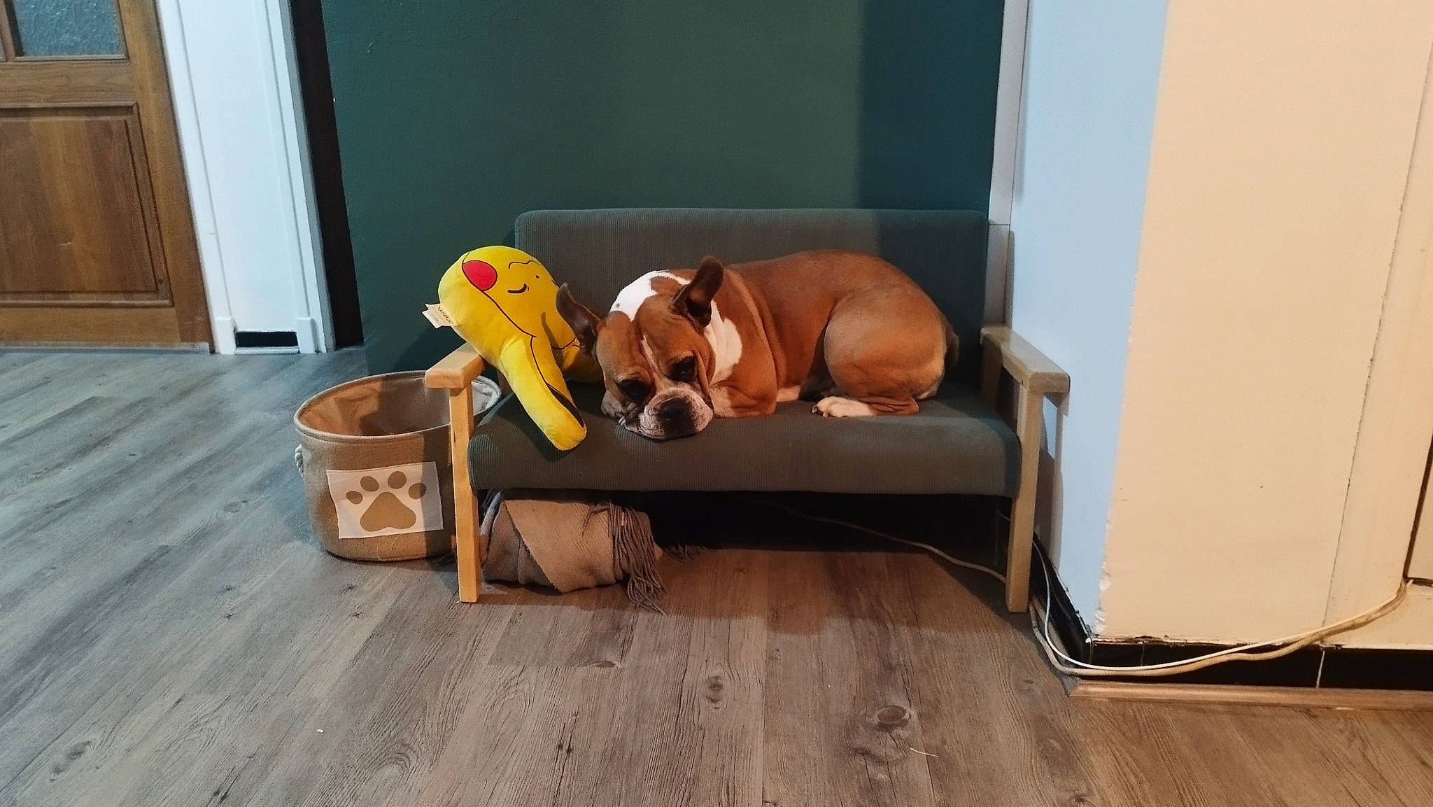 Polska a rejoint le concours — aidez-le/la à gagner de superbes lots ! cabinetry, carnivore, comfort, companion_dog, dog, dog_breed, dog_supply, door, fawn, flooring, hardwood, laminate_flooring, pet_supply, plywood, room, toy, wood, wood_flooring, wood_stain, working_animal