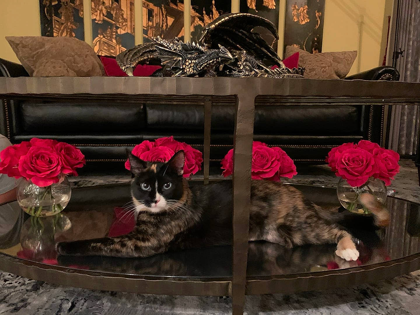 Pandora is registered to the contest to win money with this photo: art, black, carnivore, cat, couch, felidae, flooring, flower, flowerpot, fur, house, living_room, magenta, pink, red, small_to_medium_sized_cats, studio_couch, table, whiskers, wood