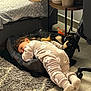 toddler, child, dog, pajamas, indoor, bed, dog_bed, carpet, potted_plant, furniture, floor, toy, relaxing, cozy, sleepwear, home, curly_hair, black_dog, tan_dog, carpeted_floor