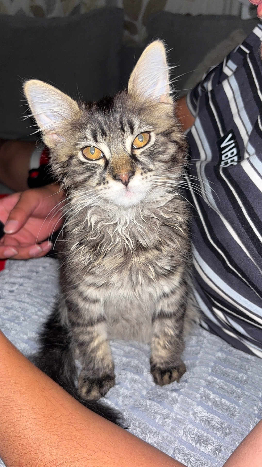 Luxio