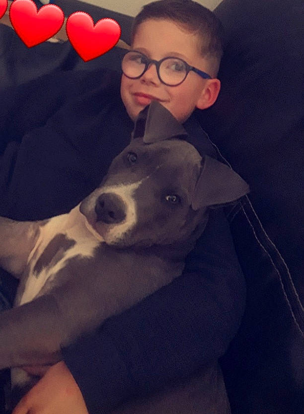 Buk a rejoint le concours — aidez-le/la à gagner de superbes lots ! balloon, beauty, carnivore, comfort, companion_dog, dog, dog_breed, ear, eyewear, fawn, fun, gesture, glasses, happy, head, human_body, light, snout, t_shirt, vision_care