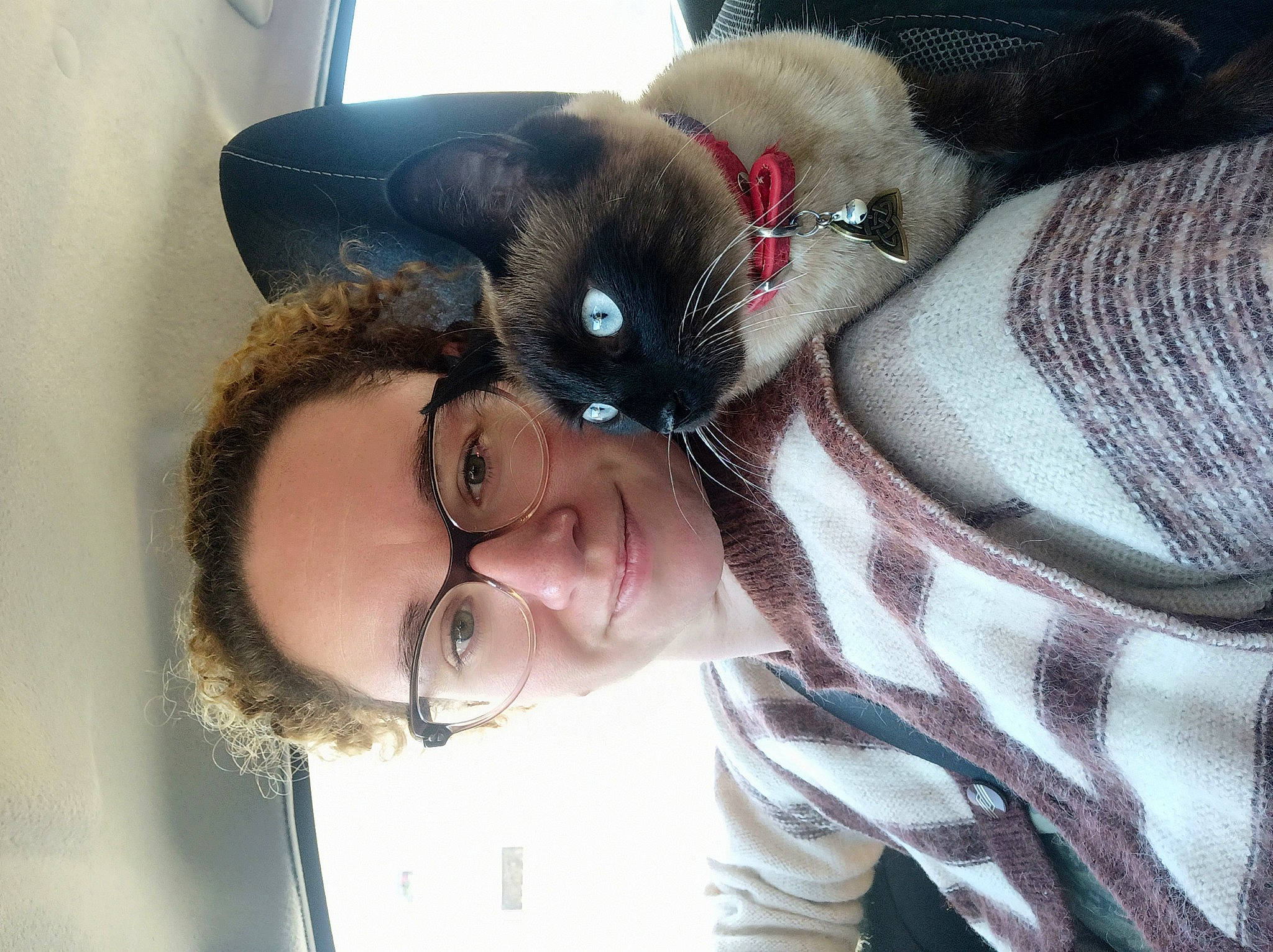 Sukina a rejoint le concours — aidez-le/la à gagner de superbes lots ! beard, black_hair, comfort, cool, eyewear, fawn, gesture, glasses, happy, human_body, mouth, nose, selfie, skin, smile, snout, sunglasses, toy, vision_care, whiskers