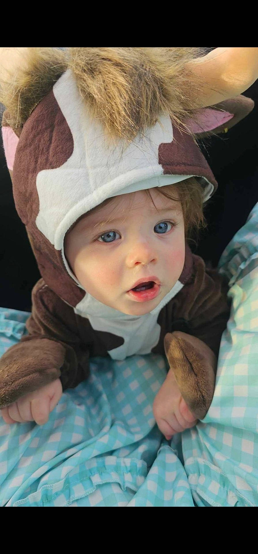 Dawson joined the competition — help win amazing prizes! baby, bonnet, cap, clothing, coat, costume, cushion, face, hat, head, homedecor, hood, hoodie, jacket, knitwear, person, photography, portrait, sweater, sweatshirt