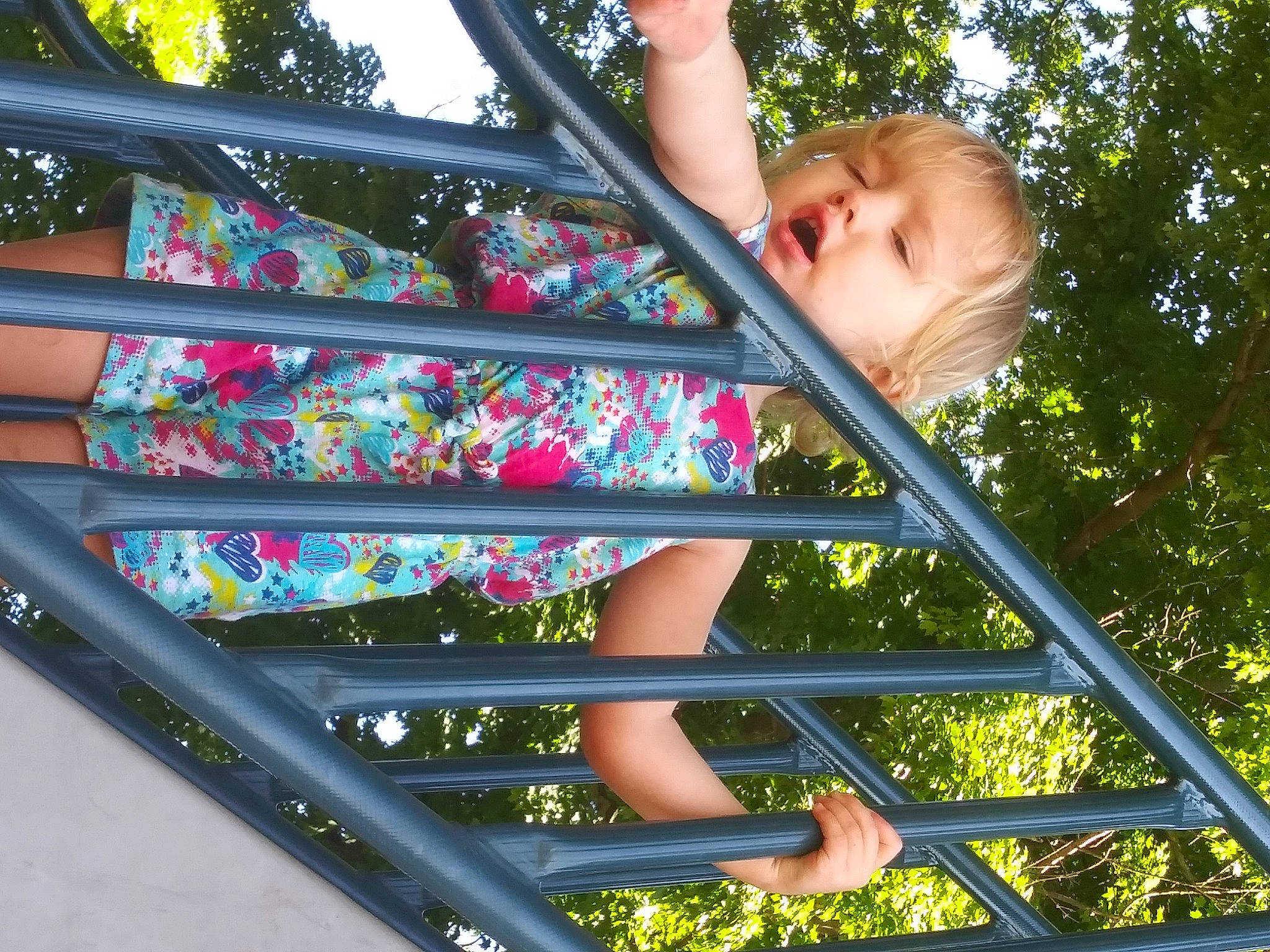 Kiana is registered to the contest to win money with this photo: child, leaf, leisure, metal, person, plant, toddler, tree, window