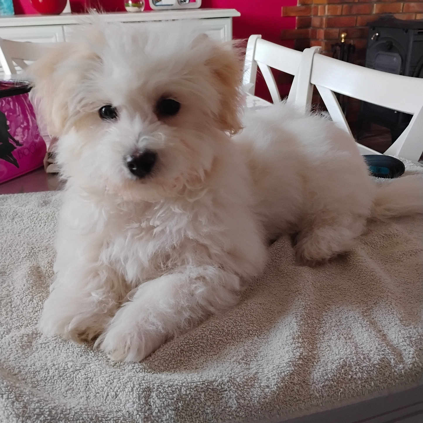 Betty