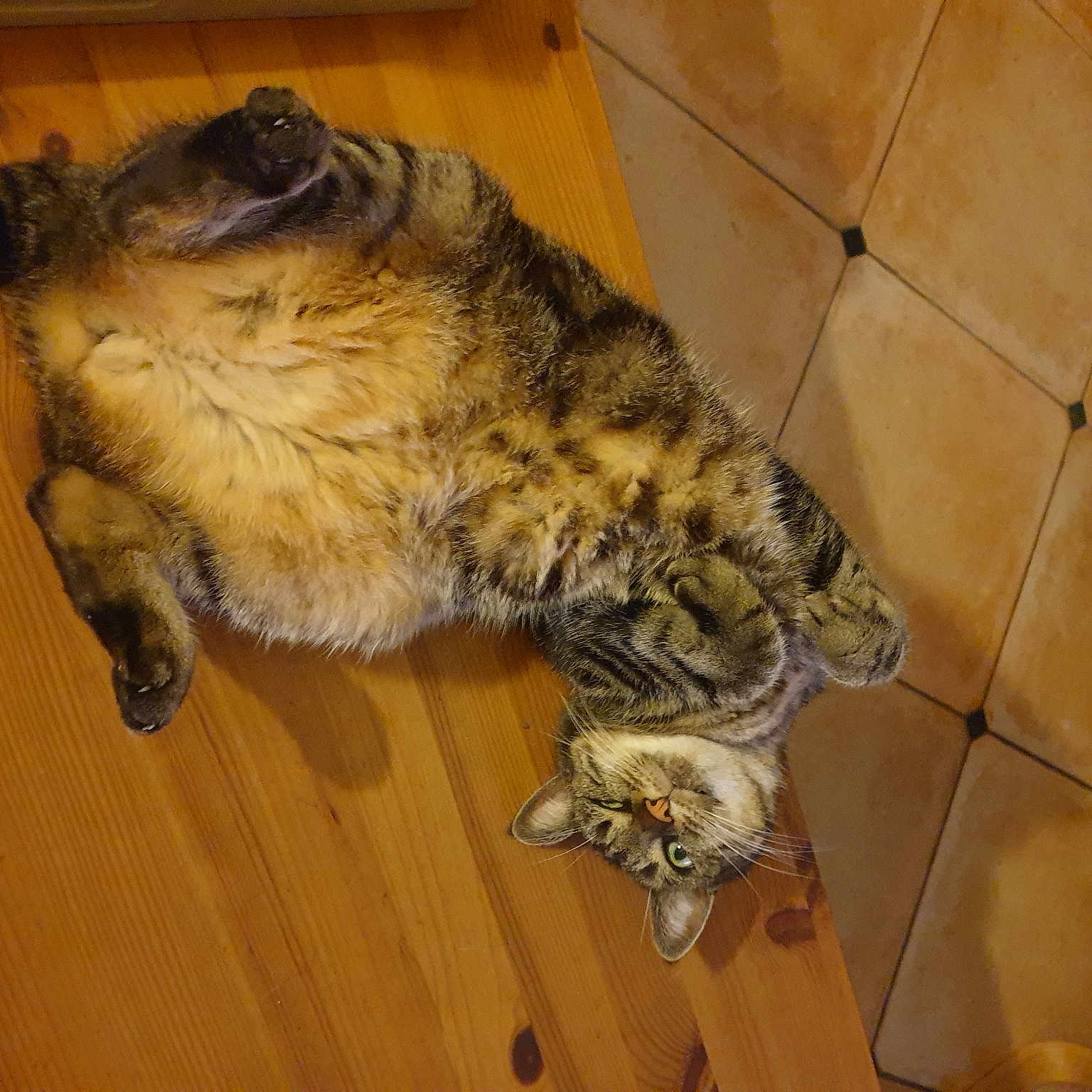 Myrtille