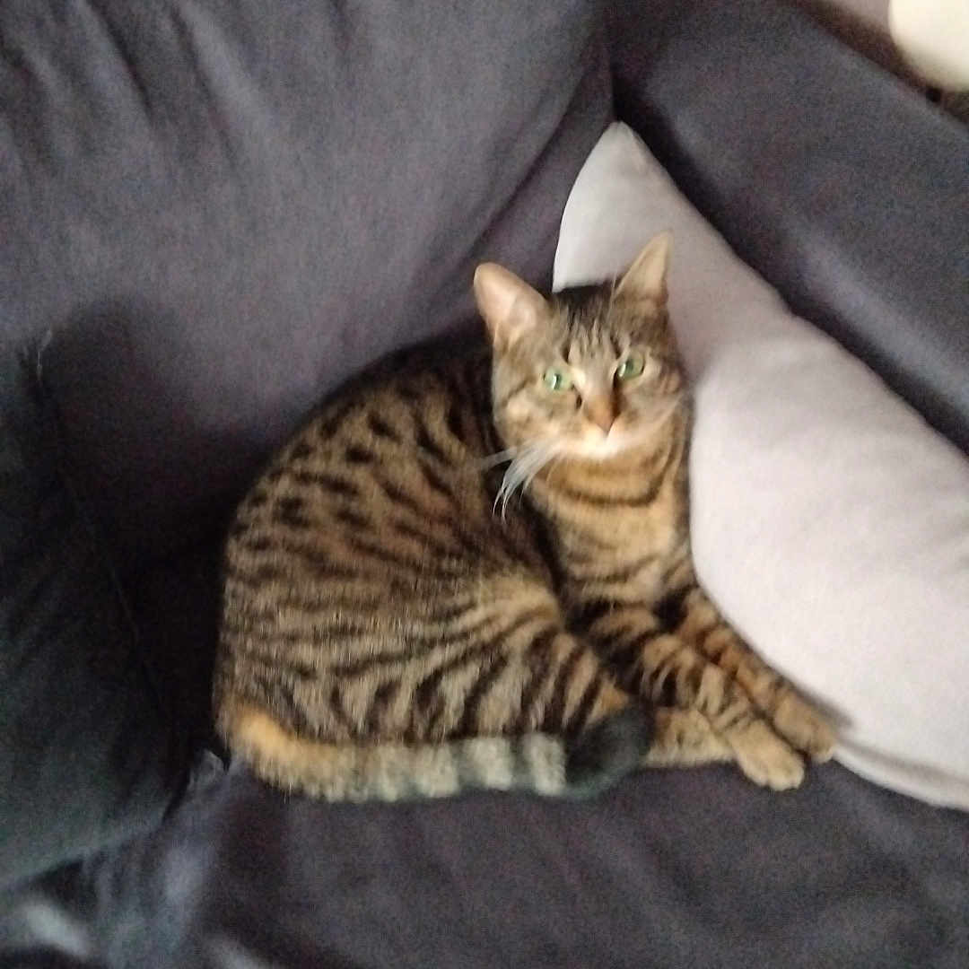 Princesse