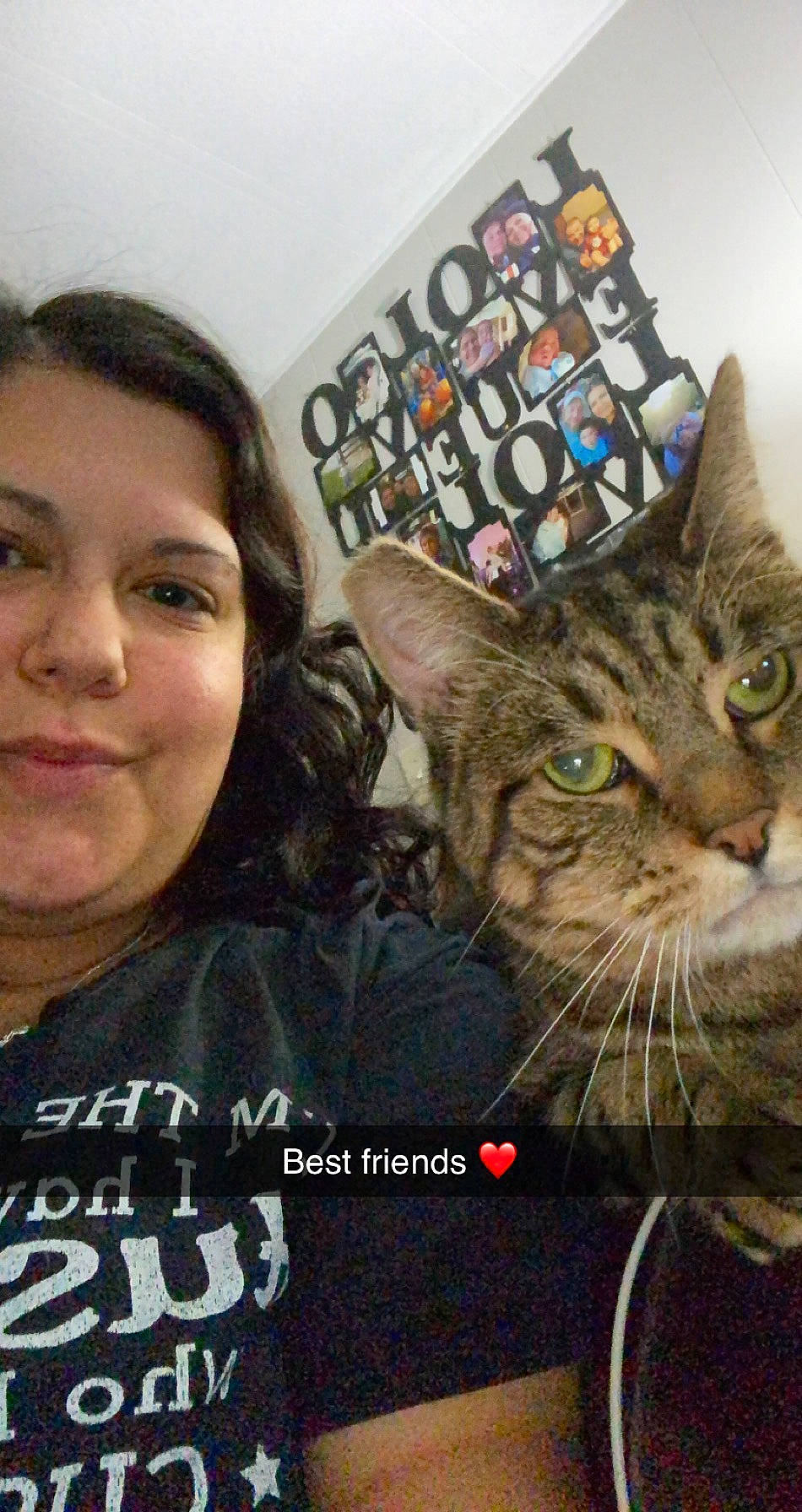 Oliver is registered to the contest to win money with this photo: carnivore, cat, cool, domestic_short_haired_cat, ear, eye, eyewear, felidae, fur, hair_coloring, happy, iris, organ, photo_caption, selfie, small_to_medium_sized_cats, t_shirt, whiskers