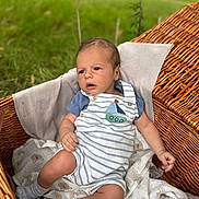 Arlo joined the competition — help win amazing prizes! baby, infant, wicker_basket, blanket, outdoor, grass, blue_shirt, striped_romper, socks, cute, portrait, child, young, soft_light, nature, relaxing, comfort, expression, small_hands, footwear
