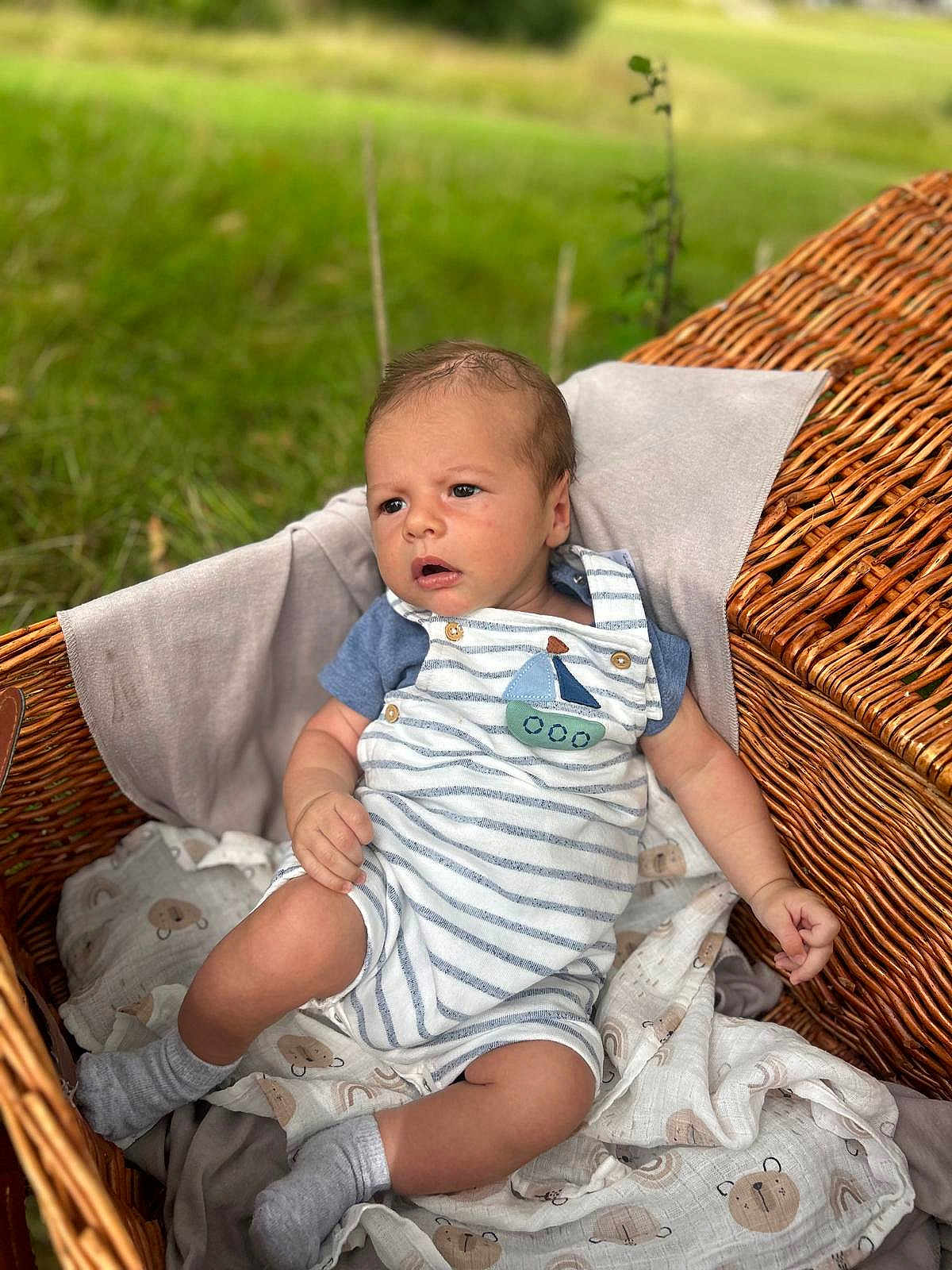 Arlo joined the competition — help win amazing prizes! baby, infant, wicker_basket, blanket, outdoor, grass, blue_shirt, striped_romper, socks, cute, portrait, child, young, soft_light, nature, relaxing, comfort, expression, small_hands, footwear