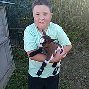 Logan a rejoint le concours — aidez-le/la à gagner de superbes lots ! child, boy, goat, animal, pet, outdoor, grass, fence, green_shirt, black_pants, short_hair, smiling, holding, young, cute, sunlight, nature, farm, small_animal, happy