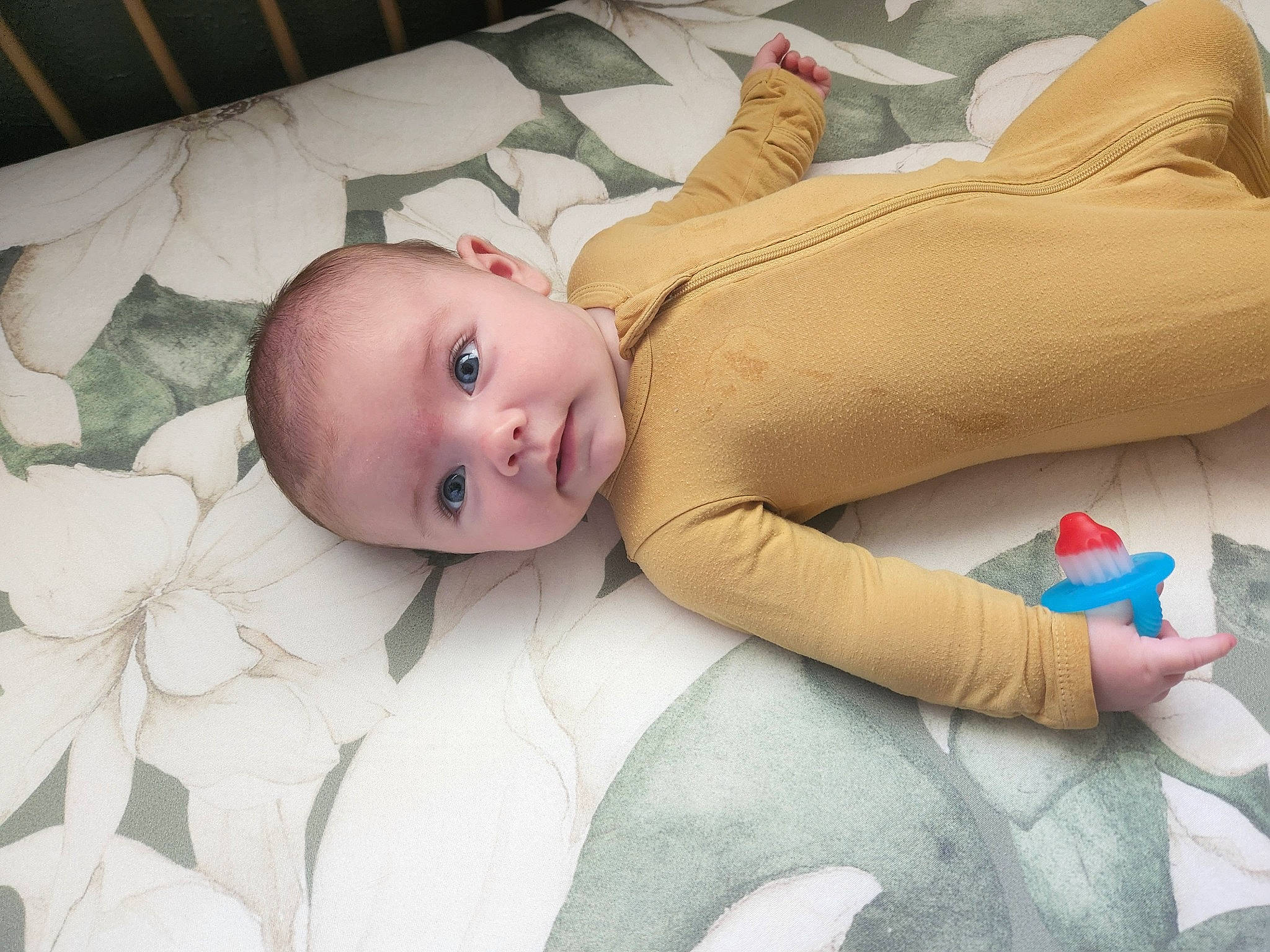 Mallory is registered to the contest to win money with this photo: baby, baby_safety, baby_toddler_clothing, beauty, bed, bedding, child, comfort, eye, face, flooring, head, linens, mammal, person, product, room, skin, textile, toddler