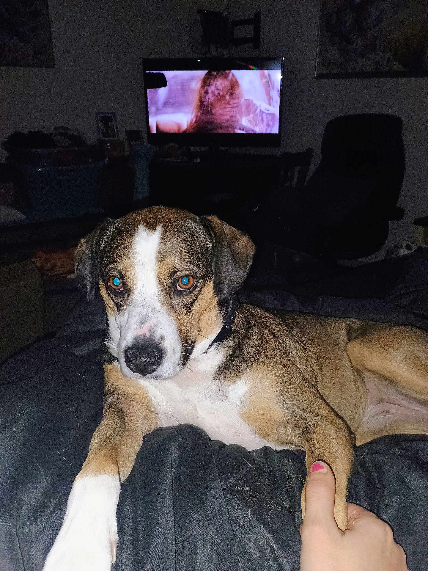 Nalla