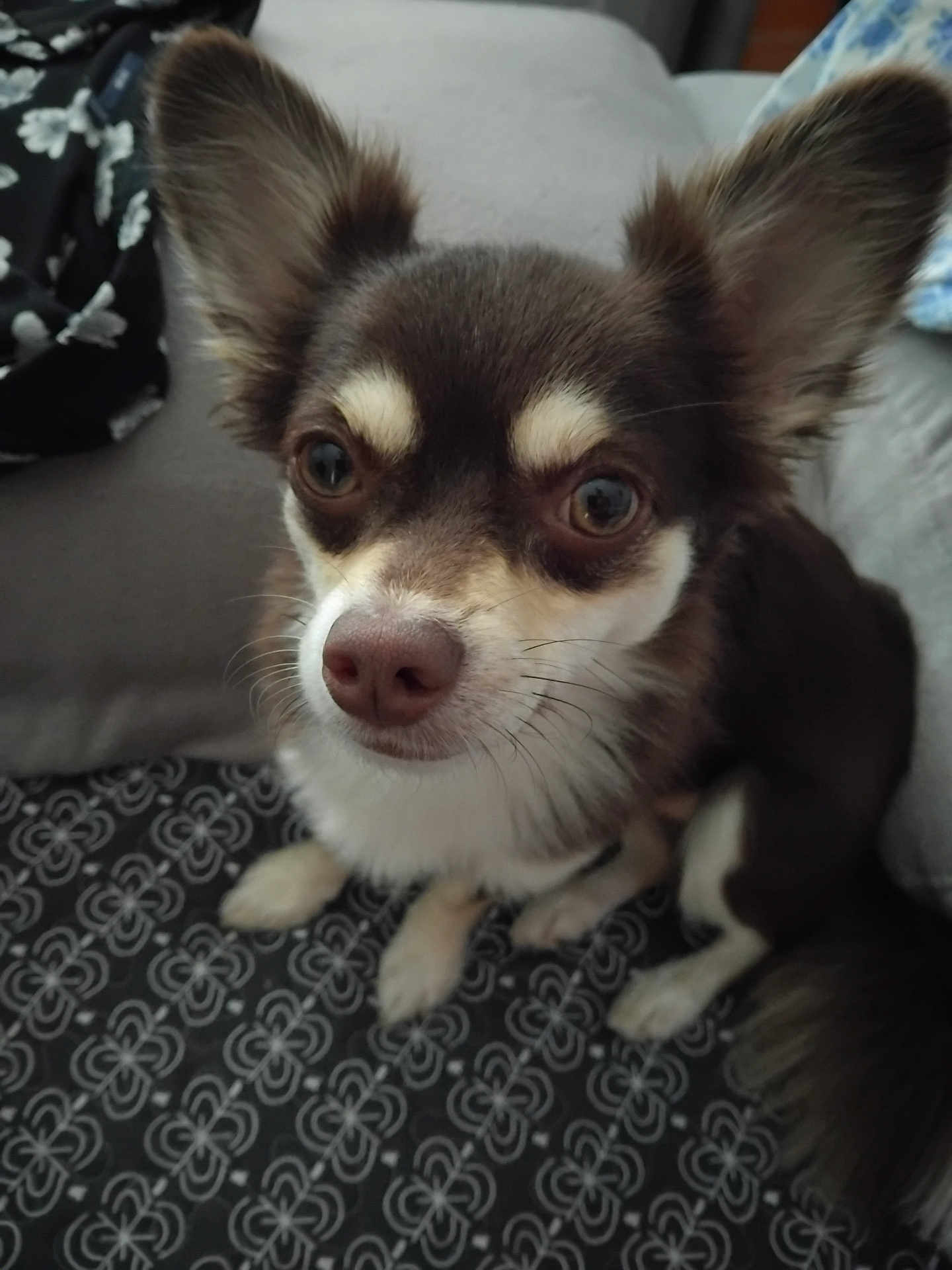 Caramel