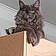 Athos