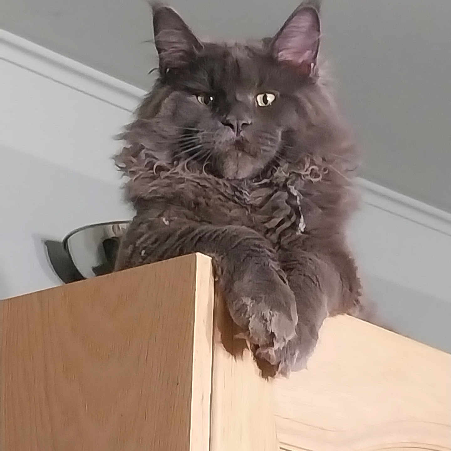 Athos