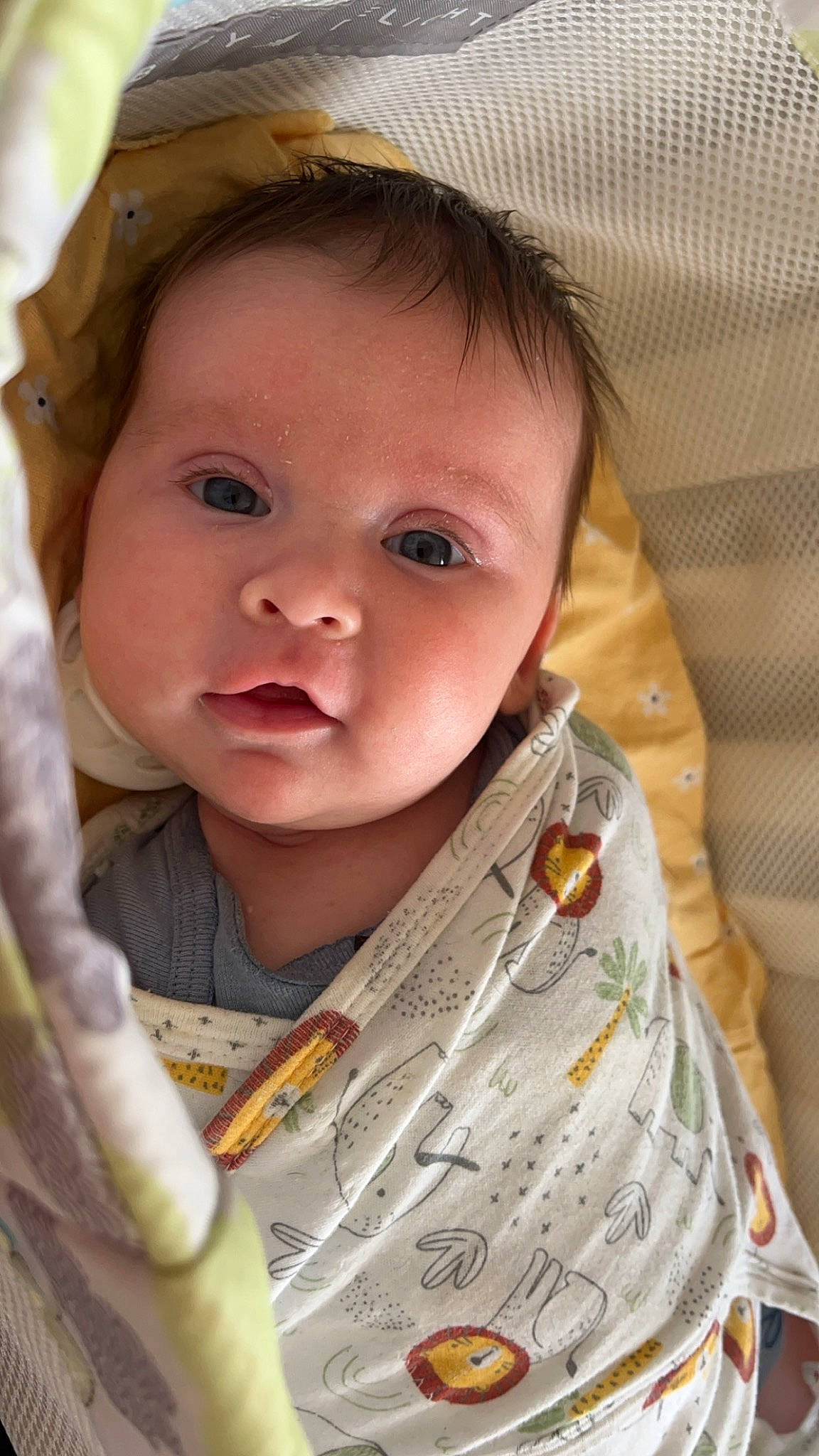 Olive is registered to the contest to win money with this photo: baby, baby_toddler_clothing, cheek, chin, comfort, ear, eyebrow, eyelash, facial_expression, happy, head, linens, lip, mouth, nose, person, product, skin, sleeve, smile