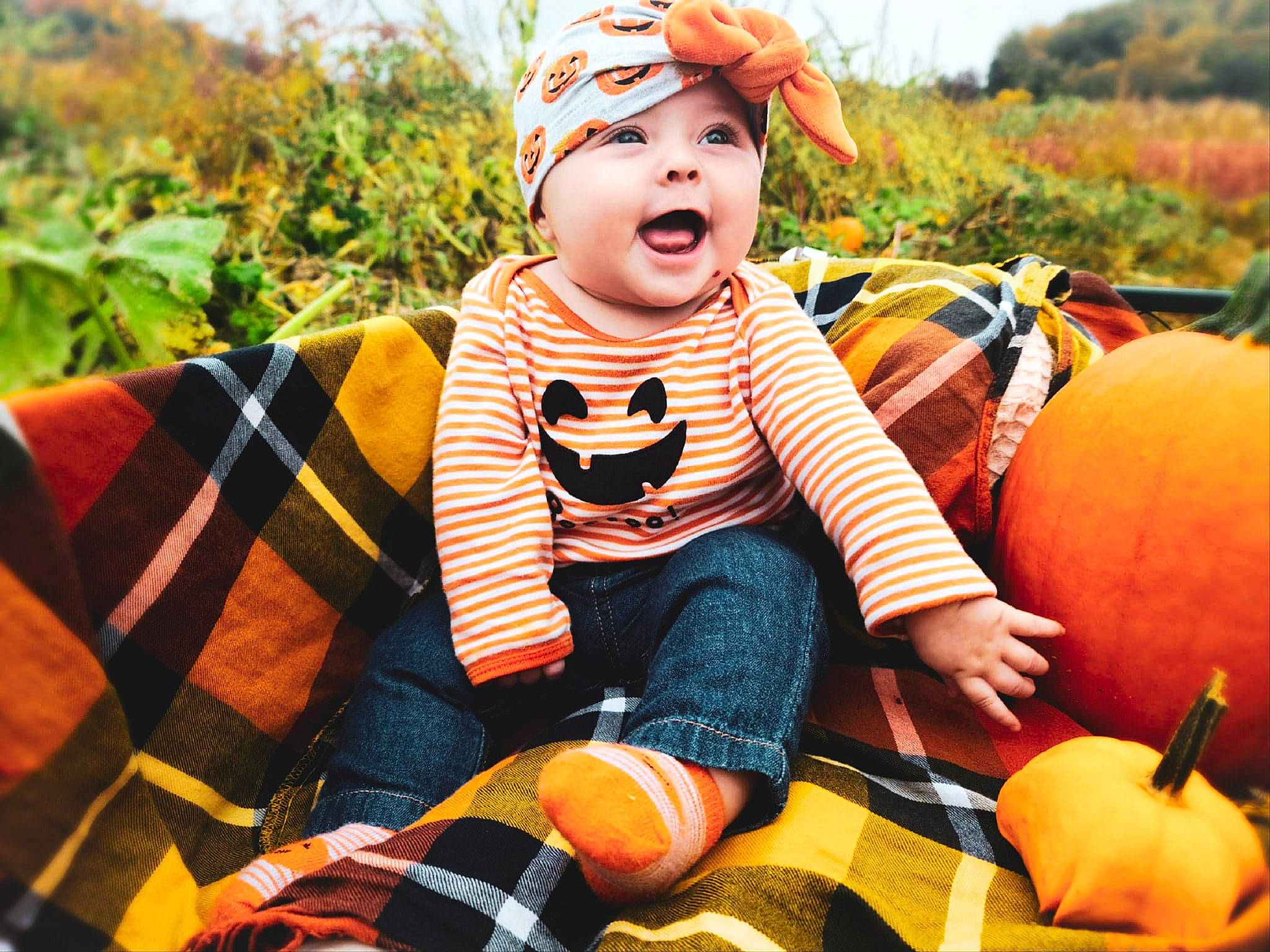 Persephone joined the competition — help win amazing prizes! autumn, baby, calabaza, candy_corn, child, costume, cucurbita, fruit, happy, headwear, leaf, orange, person, plant, pumpkin, smile, squash, toddler, trick_or_treat, winter_squash