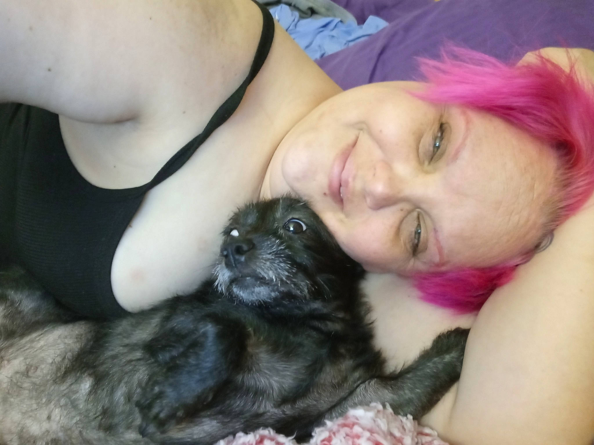 Bellaboo joined the competition — help win amazing prizes! black_hair, carnivore, chest, comfort, companion_dog, dog, dog_breed, eyelash, fawn, gesture, happy, iris, long_hair, mammal, muscle, nose, shoulder, skin, smile, trunk