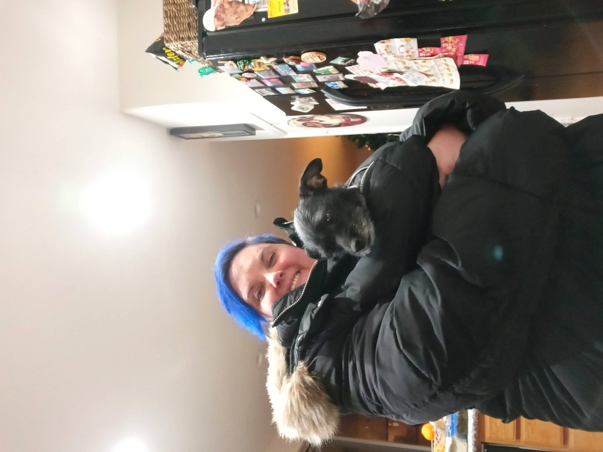 Bellaboo joined the competition — help win amazing prizes! bag, canidae, carnivore, comfort, companion_dog, couch, dog_breed, felidae, flooring, fur, gesture, jacket, luggage_and_bags, room, shelf, sitting, small_to_medium_sized_cats, sporting_group, suit, whiskers