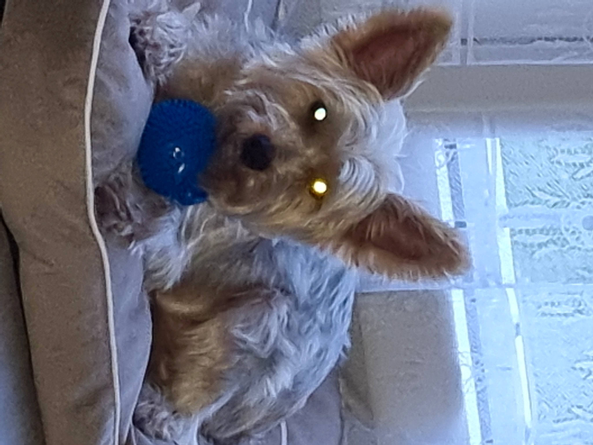 Léo