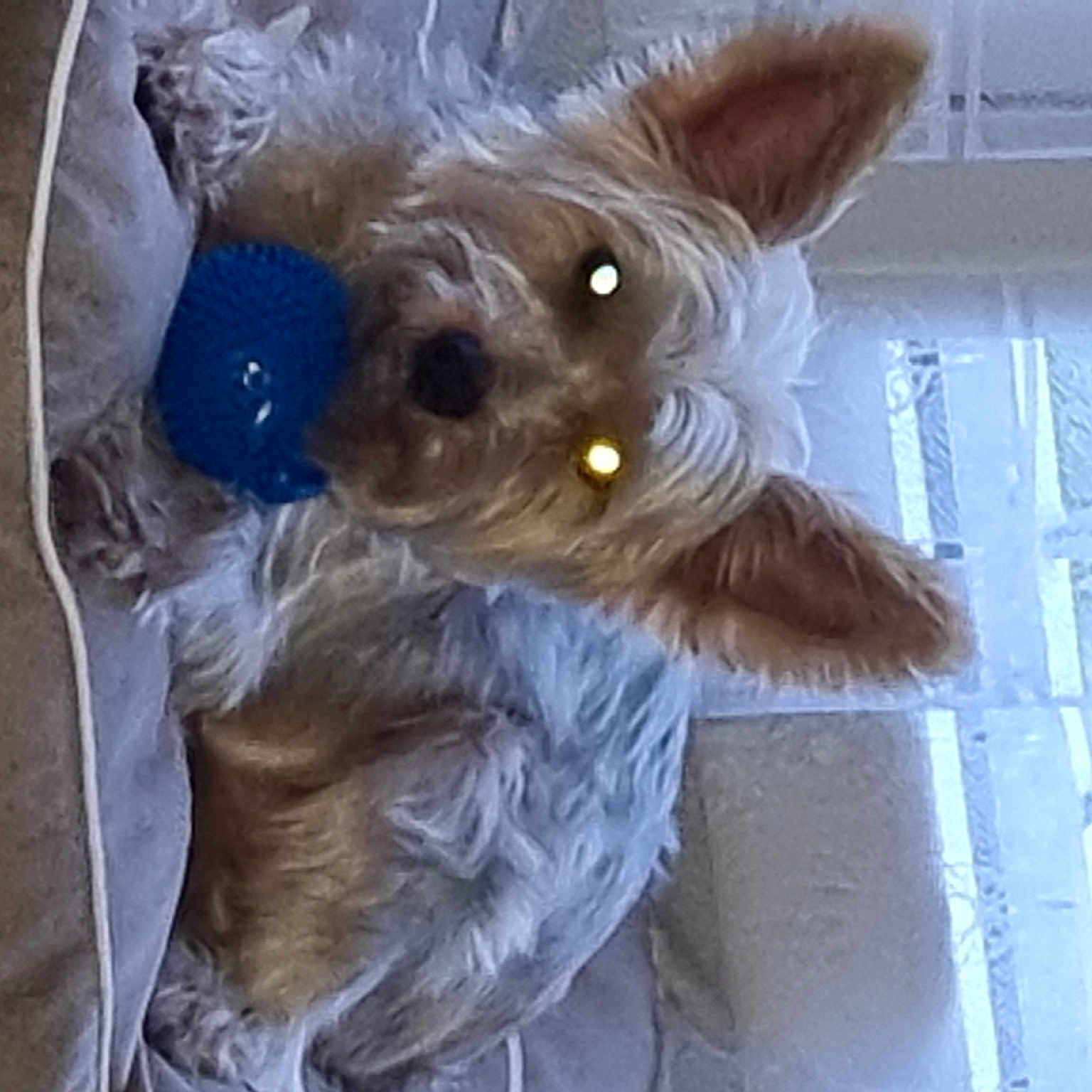 Léo