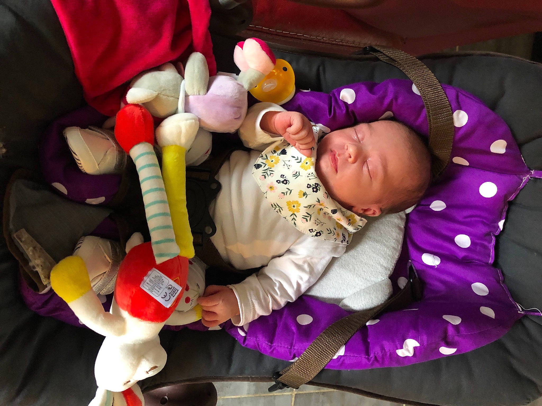 Abbie a rejoint le concours — aidez-le/la à gagner de superbes lots ! baby, baby_products, baby_safety, baby_sleeping, baby_toddler_clothing, baby_toys, child, comfort, fun, lap, linens, magenta, person, pink, product, purple, room, textile, toddler, toy