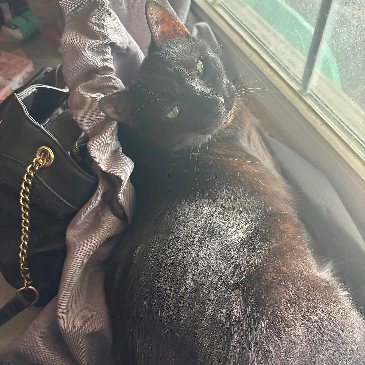 Binx