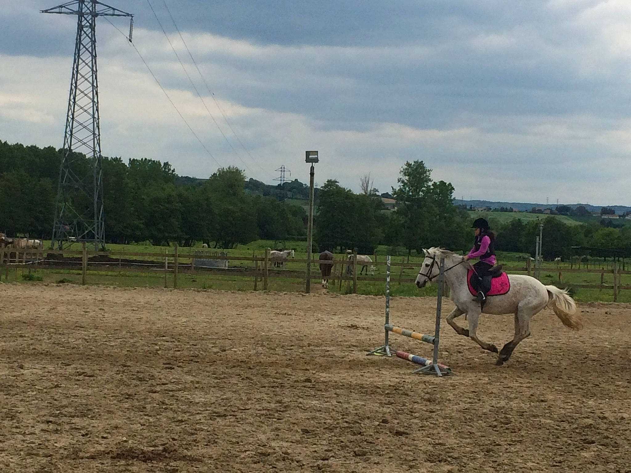 Must participe au concours pour gagner de l'argent avec cette photo : animal_sports, bridle, competitive_trail_riding, ecoregion, equestrian, equestrianism, equitation, halter, horse, horse_tack, mare, mustang_horse, pack_animal, ranch, recreation, rein, saddle, stallion, tree, western_riding