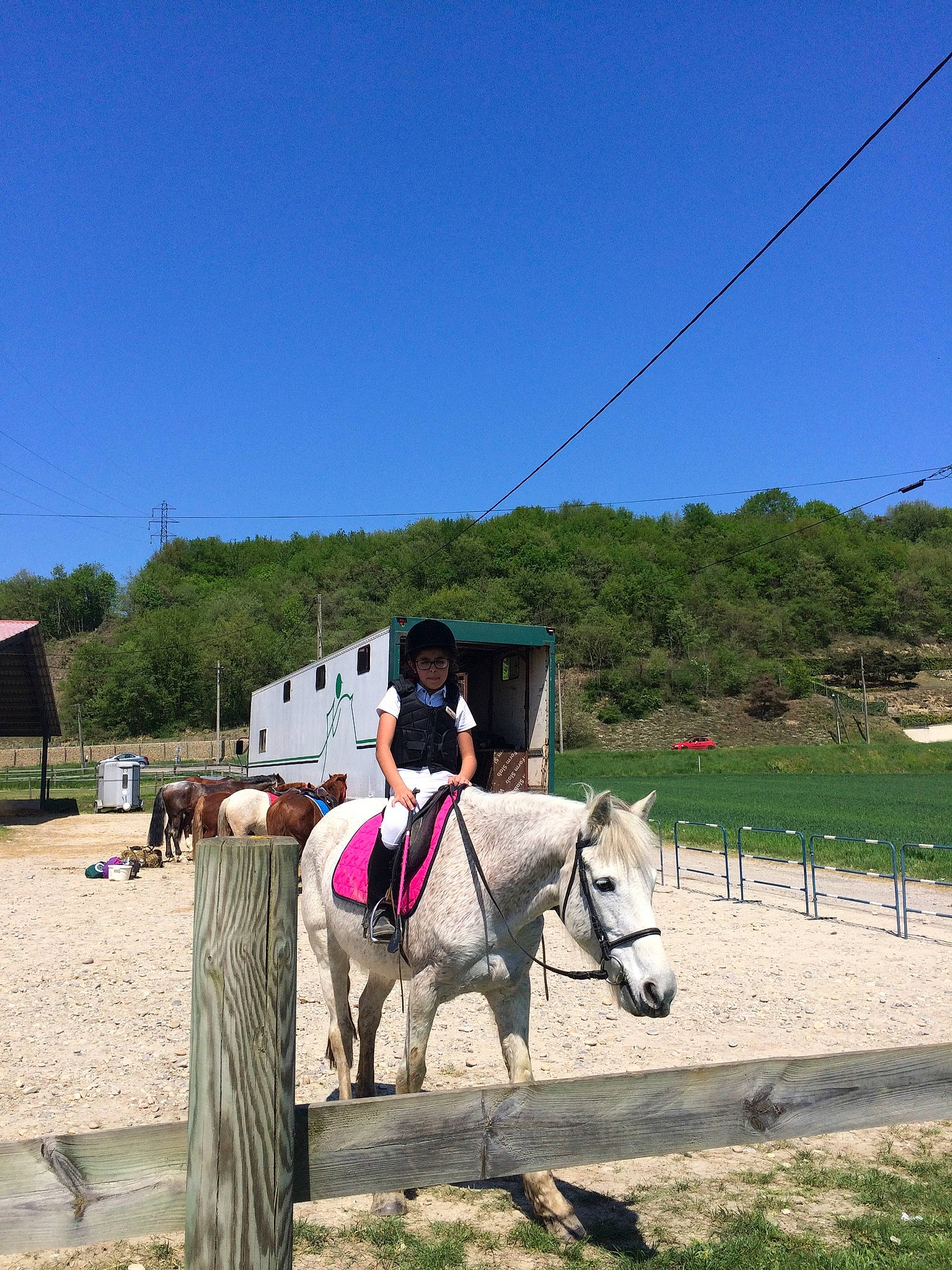 Must a rejoint le concours — aidez-le/la à gagner de superbes lots ! animal_sports, bridle, english_riding, equestrian_sport, equestrianism, equitation, halter, horse, horse_supplies, horse_tack, mammal, mare, pack_animal, recreation, rein, saddle, stallion, trail_riding, tree, working_animal