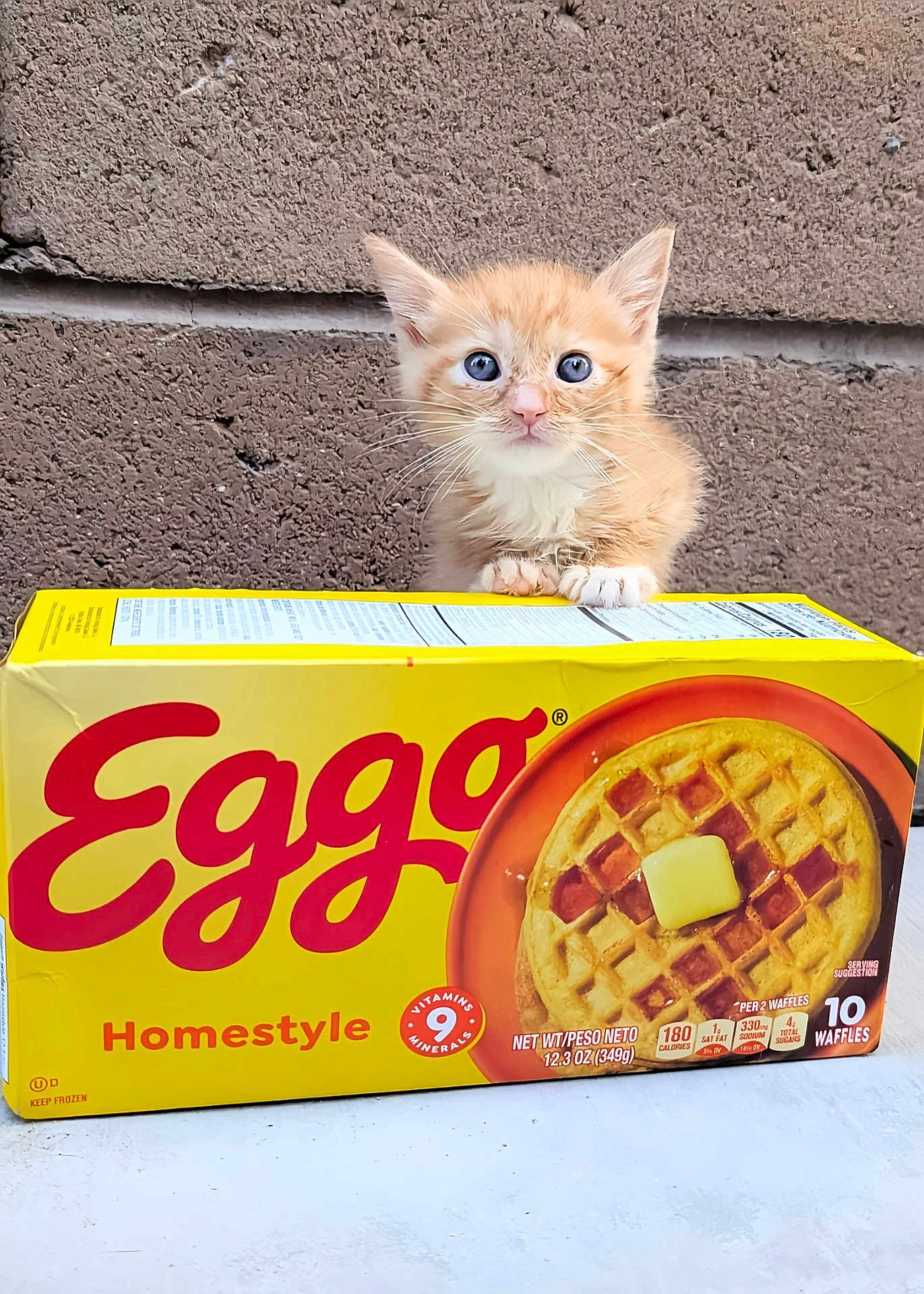 Waffles