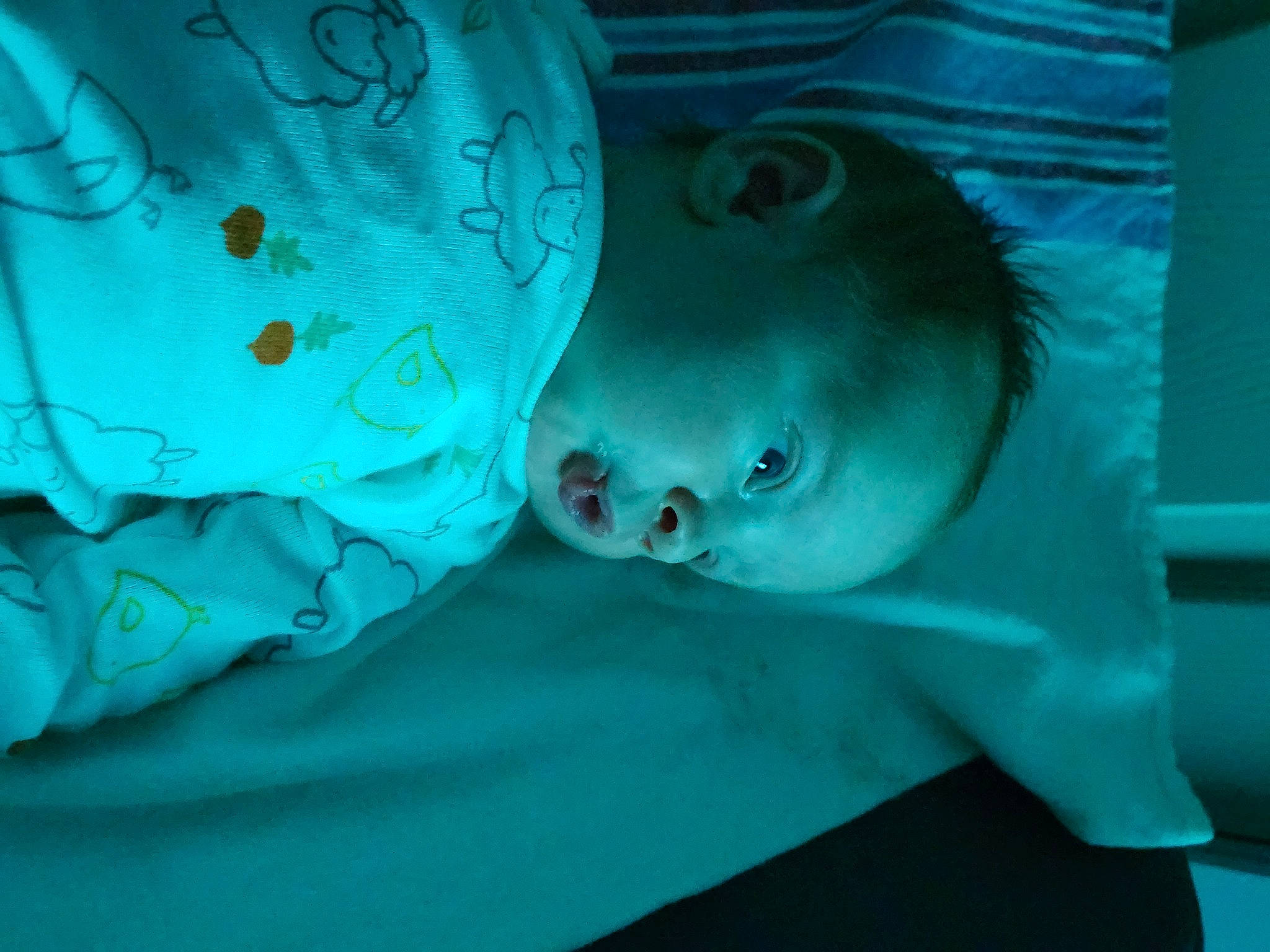 Leland is registered to the contest to win money with this photo: aqua, azure, baby, baby_toddler_clothing, child, darkness, electric_blue, fictional_character, fun, grass, hat, linens, person, personal_protective_equipment, room, toddler