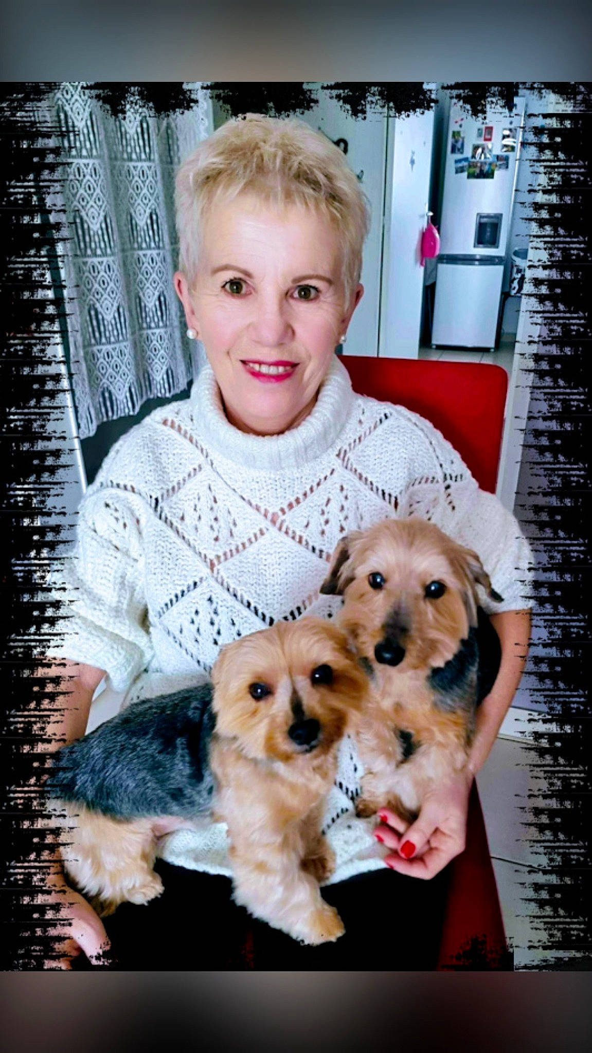 Milord éden a rejoint le concours — aidez-le/la à gagner de superbes lots ! canidae, carnivore, chair, collage, companion_dog, dog, dog_breed, fawn, fur, happy, hat, pattern, room, smile, snout, sporting_group, sunglasses, toy_dog, vertebrate, vintage_clothing