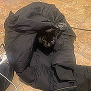 Draco joined the competition — help win amazing prizes! black_cat, cat, jacket, black_jacket, floor, tile_floor, indoor, pet, animal, curious, cozy, folds, cables, shoe, zipper, warm, hidden, peeking, domestic_cat, black_fur