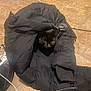 black_cat, cat, jacket, black_jacket, floor, tile_floor, indoor, pet, animal, curious, cozy, folds, cables, shoe, zipper, warm, hidden, peeking, domestic_cat, black_fur