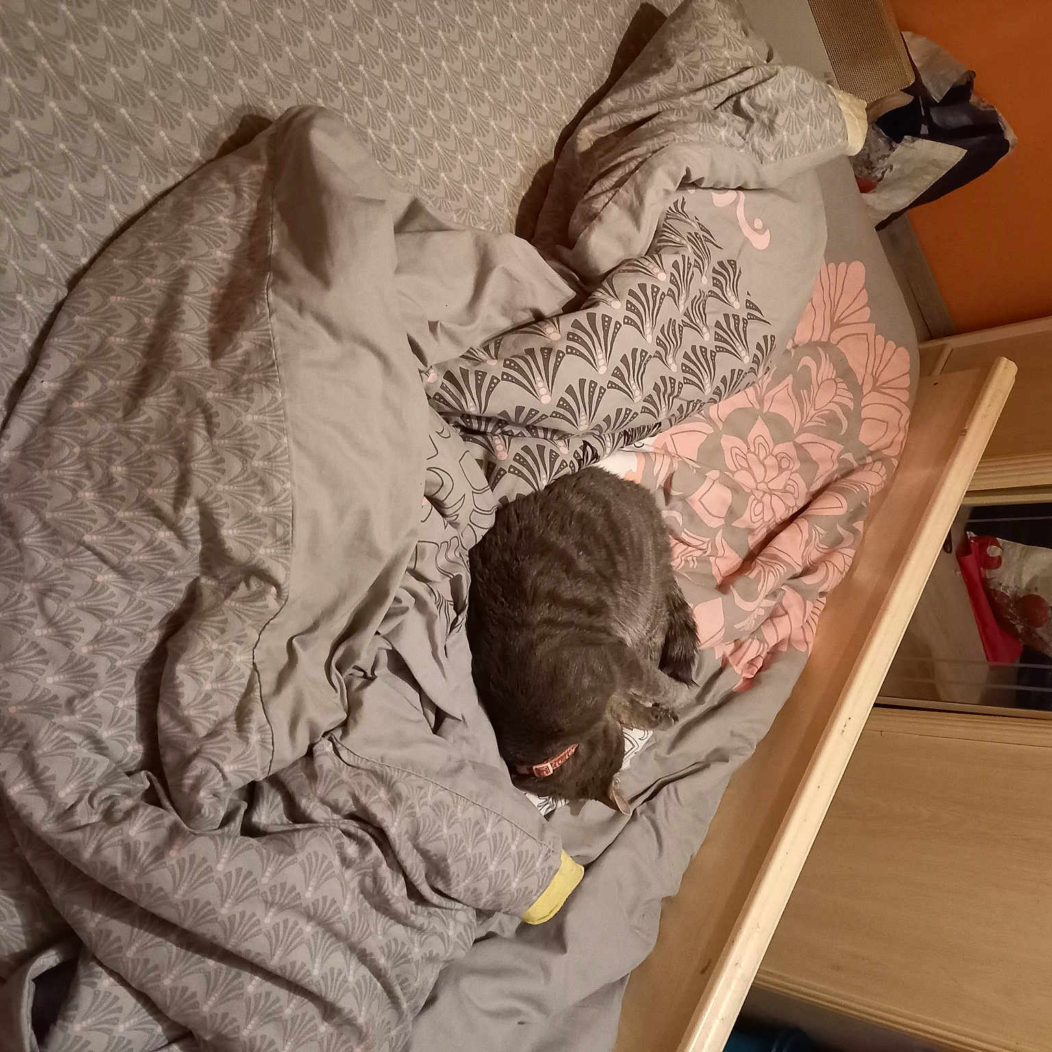 Poupoune